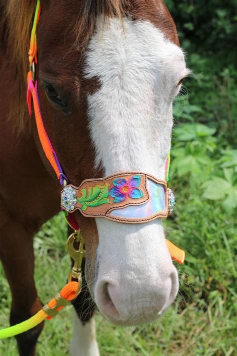 personalized halters for horses.